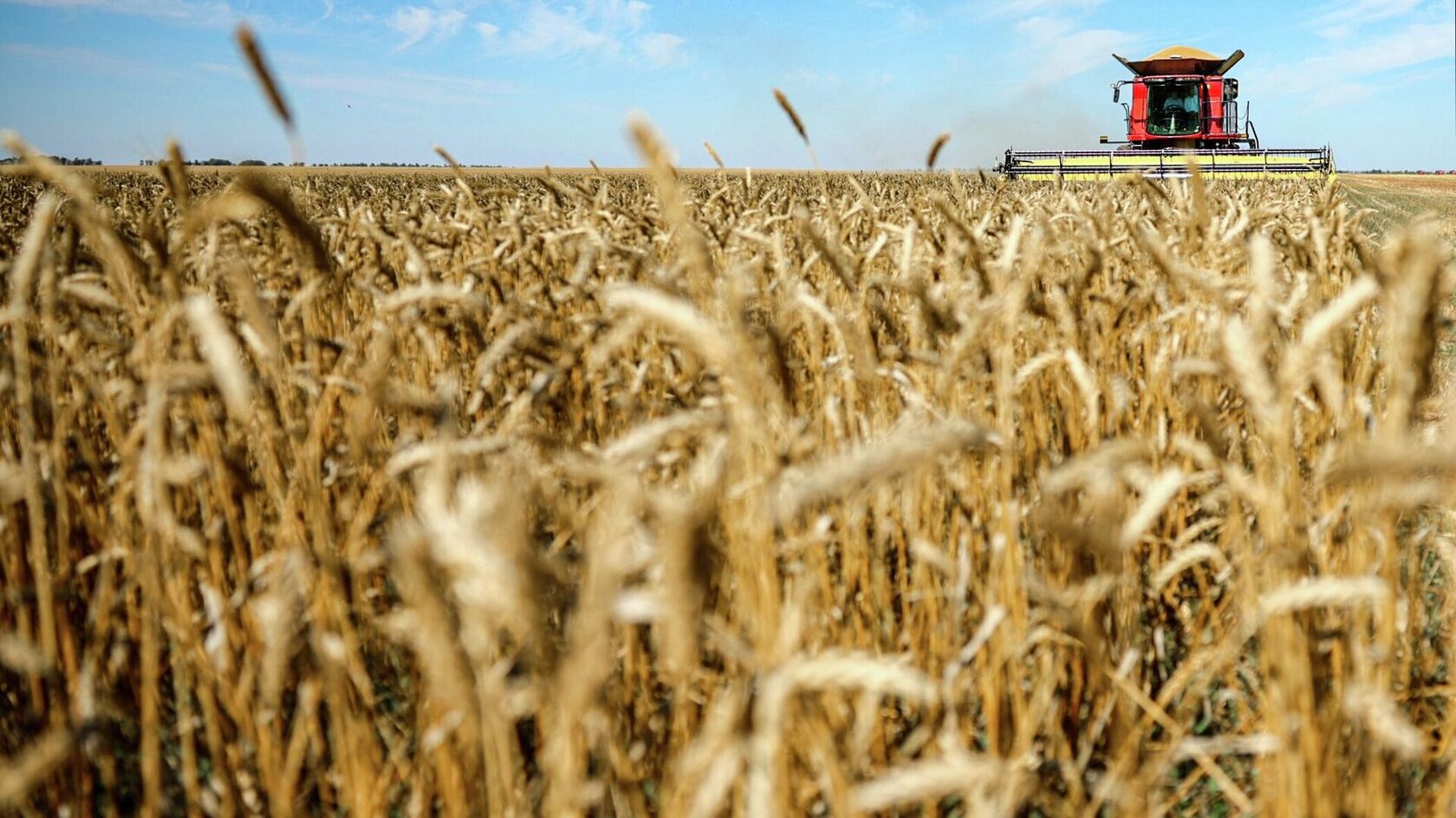 Read more about the article Россия и Китай усиливают сотрудничество в аграрной науке и селекции