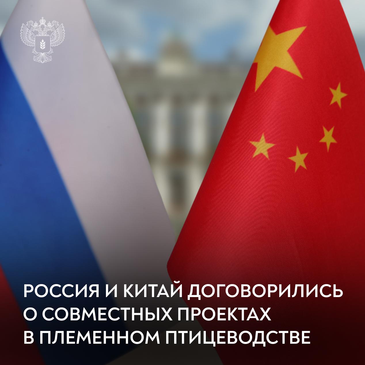 Read more about the article Россия и Китай запускают совместные проекты в племенном птицеводстве